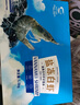 GUO LIAN国联生鲜盐冻大虾 去冰净重3斤 73-90只 盒装活冻 海鲜海产冷冻虾 实拍图