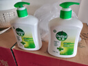 滴露（Dettol）洗手液松木500g瓶 健康抑菌消毒非补充装 儿童家庭用清爽去油 实拍图