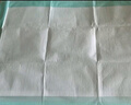 老来福 成人护理垫60x90cm老年人尿不湿老人隔尿床垫产妇产褥垫尿垫60片 实拍图