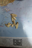 福东海 黄芪大片250克 甘肃精选黄芪片 生黄芪黄苓配枸杞党参泡水炖汤 实拍图