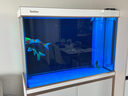 森森（SUNSUN）鱼缸水族箱含鱼缸过滤器灯大型金鱼缸 珍珠白 新时尚1米长41.6cm宽底滤 带棉+滤材 实拍图