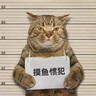 绽妍医用皮肤修复敷料D1-O型：25g*5片痤疮护理 实拍图