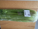 【勤劳致富】西芹约1kg 实拍图