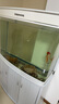 松宝（sobo）鱼缸增氧泵养鱼氧气泵小型家用充氧泵水族箱打氧机增氧泵 双孔3W 实拍图