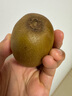 佳沛（zespri）新西兰 阳光金奇异果12粒礼盒特大果单果约122-146g 猕猴桃 水果 实拍图