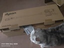 戴森（DYSON）【国家补贴15%】V8 Slim Fluffy无绳吸尘器 轻量化设计 吸尘除螨一体 长续航 家用 红镍色 实拍图