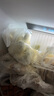 吴大嫂 东北水饺 黑猪肉荠菜馅饺子 720g/36只 速冻饺子蒸饺煎饺 实拍图