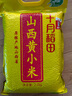 十月稻田 24年新米 山西黄小米 2.5kg 五谷杂粮 粗粮 早餐小米粥 真空5斤 实拍图