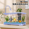 阔庭（KUOTING）鱼缸水族箱生态桌面鱼缸新款懒人鱼缸生态造景过滤制氧一体机蓝色 实拍图