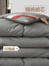 大豆纤维被芯冬季加厚棉被双人四季被子学生宿舍单人夏被春秋被 绅士灰 150*200cm5斤春秋被 实拍图