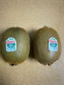 佳沛（zespri）绿奇异果 优选大果12粒单果约113-135g  水果礼盒 猕猴桃 实拍图