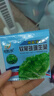 【京东物流】蔬菜种子四季播盆栽阳台庭院香菜生菜菠菜简单秋易种 玻璃生菜种子1包约1000粒 实拍图