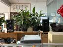 JBL305P 306P 308P MKII 专业有源监听音箱电脑录音棚立体声乐器音箱 305PMKII对装【悬浮架+RGB灯+音频线+蓝牙适配器】 6.5转卡农公线材【接电脑声卡】 实拍图