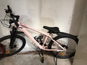 凤凰（Phoenix） 上海凤凰山地自行车成人男士女式学生变速宽胎越野赛车公路单车 钢架辐条轮粉【95%免安装】 24寸24速【全轴承+礼包】 实拍图