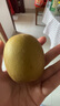 佳沛（zespri）新西兰 阳光金奇异果12粒礼盒特大果单果约122-146g 猕猴桃 水果 实拍图