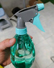 喷壶浇花浇水喷雾器气压式喷水壶家用园艺养花500ml 南瓜喷壶透蓝【1个装】 实拍图