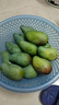 三萌果蔬金煌芒芒果 当季现摘青皮水仙大芒果新鲜海南水果整箱节日送礼 5斤精选装净重4.5斤 单果200g+ 实拍图