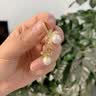 伊灿日韩水钻蝴蝶结仿珍珠耳环女小众设计耳饰耳坠2025年新款爆款耳钉 蝴蝶结珍珠耳环 实拍图
