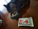 普贝斯猫肾脏护理粮成猫全价猫干粮 猫肾脏处方粮600g 实拍图