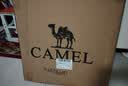 骆驼（CAMEL）户外折叠椅野餐露营凳子钓鱼沙滩椅摆摊靠背躺椅便携 GT101卡其 实拍图