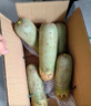 京鲜生家美舒达 山东 潍坊萝卜 甜脆水果萝卜 绿青萝卜 5斤 新鲜蔬菜 实拍图