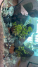 疯狂水草水晶石英砂5斤1.0-2.0mm鱼缸沙底砂鱼缸造景鱼缸沙子底砂免洗底沙 实拍图