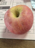 沂蒙山旮旯沂源红苹果富士苹果绿色食品认证脆甜多汁山泉灌溉办公家居零食 沂源红苹果65-70#4.5-5斤(净重4.5斤) 4.5-5斤(净重4.5斤) 实拍图