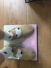小茉莉舞蹈鞋女成人软底练功鞋秋女儿童猫爪鞋跳舞鞋免系带形体鞋 驼色【脚底拼布】建议拿大二个码 37 实拍图