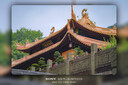 腾龙（Tamron）官方旗舰店 35-150mm全画幅FE卡口/Z口大光圈 腾龙35-150 挂机变焦微单镜头 索尼E卡口 官方标配【送蓝舰UV滤镜礼包+双肩包+脚架环】 实拍图