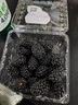 怡颗莓Driscoll's怡颗莓 黑莓125g 实拍图