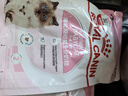 皇家宠物猫粮 幼猫猫粮K36-适用于12月龄50g*3 实拍图