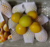 新疆小白杏250g（单果12g起） 实拍图