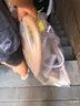 幼贝臣摇摇马木马多功能儿童玩具1-3岁宝宝婴儿生日元旦节新年礼物 实拍图