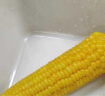 北纬47°有机白甜糯玉米4斤(200g*10穗)低脂玉米糯玉米白糯玉米 早餐杂粮 实拍图