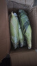 中鲜生云南水果玉米 新鲜甜玉米 现摘玉米棒 生鲜蔬菜可生吃火锅食材 5斤 【净重】约5-8根 实拍图