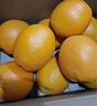 京鲜生 湖北秭归夏橙净重8斤 单果170g+ 生鲜水果 源头直发包邮 实拍图
