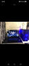 赛睿（SteelSeries）QcK Large(QcK+)游戏鼠标垫大号 donk同款电竞鼠标垫 fps顺滑鼠标垫 CSGO/打瓦 L号450*400*2mm  实拍图