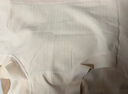 有棵树女士内裤女冰丝7A抗菌凉感无痕柔软透气高弹丝滑包臀女生三角短裤 实拍图