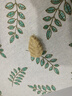 MamyPets猫零食猫草鸡肉冻干磨牙棒猫咪排毛化毛猫薄荷饼干猫草片毛球克星 实拍图