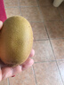 佳沛（zespri）新西兰 新果季 阳光金奇异果33粒原箱单果重约101-114g 猕猴桃 实拍图