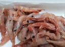 京东超市 海外直采北极甜虾刺身2斤/盒90-120只 (MSC认证) 日料刺身 即食 实拍图