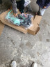 阿米达儿童自行车2-3-6-10岁宝宝单车脚踏车带辅助轮男孩六一儿童节礼物 绿色【辅助轮+后座+礼包】条幅轮 12寸【80-105cm】适合2-5岁宝宝 实拍图