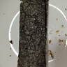 波力海苔荞麦夹心脆144克(约72包)网红小吃儿童休闲零食紫菜脆片 实拍图