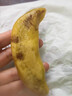 宝宝馋了香蕉豆沙馅包140g卡通包子儿童早餐早茶点心半成品享婴儿食谱 实拍图
