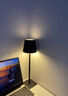 旻胜北欧简约床头灯餐厅装饰送礼氛围夜灯书桌充电礼物触摸酒吧小台灯 铁艺高脚台灯【黑色充电款】 三色-无极调光 实拍图