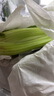 京鲜生山东新鲜大西芹净重4.5斤榨汁现挖芹菜鲜嫩蔬菜 去半叶源头直发 实拍图