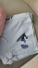 邦多拉（bangduola）青少年内裤男中学生平角裤棉质男大童12-18岁男孩四角内裤 4条 装-507 165 L 【推荐90-110斤】 实拍图