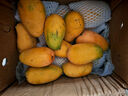 正宗小台农芒果新鲜水果10斤小芒果鲜果整箱应季当季海南热带水果 【大果】果肉饱满人气推荐 小台芒3斤净 实拍图