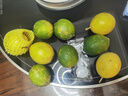 京鲜生广西黄金百香果5粒+塔希提柠檬5粒单果70g+生鲜水果 源头直发 实拍图