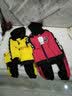 邻家米其男童套装夏装短袖两件套1-3-6岁宝宝小童儿童装2夏季男孩小孩衣服 XT6477（学霸款）-白色 110 码/身高95-105cm（3-4岁） 实拍图